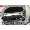 Газові упори капота і багажника Changan CS-55 E-Rock – Амортизатори для авто | Доставка по Україні