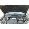 Газові упори капота і багажника Chery Tiggo 3 `14-20 – Амортизатори для авто | Доставка по Україні