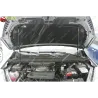 Газові упори капота і багажника Chery Tiggo 4 Pro `23+ – Амортизатори для авто | Доставка по Україні