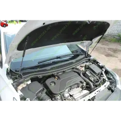 Газові упори капота і багажника Chevrolet Cruze 3 '15-19 – Амортизатори для авто | Доставка по Україні