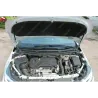 Газові упори капота і багажника Chevrolet Cruze 3 '15-19 – Амортизатори для авто | Доставка по Україні