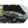 Газові упори капота і багажника Citroen Berlingo 2 `08-18 – Амортизатори для авто | Доставка по Україні