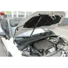 Газові упори капота і багажника Citroen C3 3 `16+ – Амортизатори для авто | Доставка по Україні