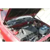 Газові упори капота і багажника Daewoo Lanos / Sens – Амортизатори для авто | Доставка по Україні