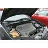 Газові упори капота і багажника Dodge Avenger 2 `07-14 – Амортизатори для авто | Доставка по Україні