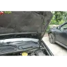 Газові упори капота і багажника Dodge Caravan 5 `16-20 – Амортизатори для авто | Доставка по Україні