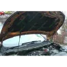 Газові упори капота і багажника Ford Edge 2 '14-24 – Амортизатори для авто | Доставка по Україні