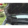 Газові упори капота і багажника Ford Fiesta 5 `01-09 – Амортизатори для авто | Доставка по Україні