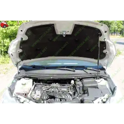 Газові упори капота і багажника Ford Focus 2 rest '08-11 – Амортизатори для авто | Доставка по Україні