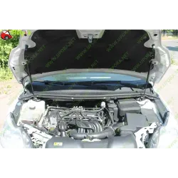 Газові упори капота і багажника Ford Focus 2 rest '08-11 – Амортизатори для авто | Доставка по Україні