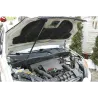 Газові упори капота і багажника Ford Fusion 1 '02-12 – Амортизатори для авто | Доставка по Україні