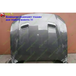 Газові упори капота і багажника Ford Mustang 6 rest '17-22 – Амортизатори для авто | Доставка по Україні