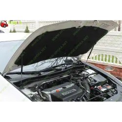 Газові упори капота і багажника Honda Accord 8 '08-12 – Амортизатори для авто | Доставка по Україні