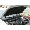 Газові упори капота і багажника Honda Accord 8 '08-12 – Амортизатори для авто | Доставка по Україні