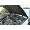 Газові упори капота і багажника Honda Accord 8 USA '08-12 – Амортизатори для авто | Доставка по Україні