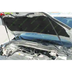 Газові упори капота і багажника Honda CR-V 3 '07-11 – Амортизатори для авто | Доставка по Україні