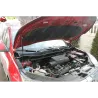 Газові упори капота і багажника Honda CR-V 5 '17+ – Амортизатори для авто | Доставка по Україні