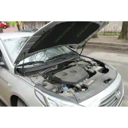 Газові упори капота і багажника Hyundai Sonata 7 LF '14-17 – Амортизатори для авто | Доставка по Україні