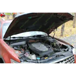 Газові упори капота і багажника Infiniti FX 1 '03-08 – Амортизатори для авто | Доставка по Україні