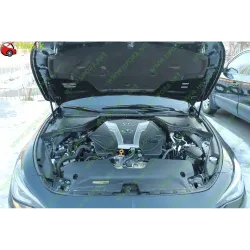Газові упори капота і багажника Infiniti Q50/Q60 13-22 – Амортизатори для авто | Доставка по Україні