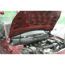 Газові упори капота і багажника Infiniti QX30 '16-19 – Амортизатори для авто | Доставка по Україні