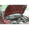 Газові упори капота і багажника Infiniti QX30 '16-19 – Амортизатори для авто | Доставка по Україні