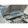 Газові упори капота і багажника KIA Carens 3 '06-12 – Амортизатори для авто | Доставка по Україні