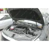Газові упори капота і багажника KIA Sportage 5 '21+ – Амортизатори для авто | Доставка по Україні