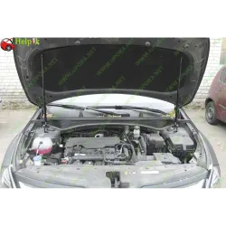 Газові упори капота і багажника KIA Sportage 5 '21+ – Амортизатори для авто | Доставка по Україні