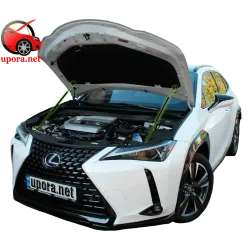 Газові упори капота і багажника Lexus UX `18+ – Амортизатори для авто | Доставка по Україні