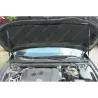Газові упори капота і багажника Mazda 3 (4) BP '19+ – Амортизатори для авто | Доставка по Україні