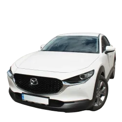 Газові упори капота і багажника Mazda CX-30 '19+ – Амортизатори для авто | Доставка по Україні