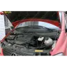 Газові упори капота і багажника Mercedes Benz Vito W639 '03-14 – Амортизатори для авто | Доставка по Україні