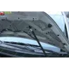 Газові упори капота і багажника Mitsubishi Colt 9 '04-08 – Амортизатори для авто | Доставка по Україні