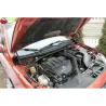 Газові упори капота і багажника Mitsubishi Lancer Evo X '07-17 – Амортизатори для авто | Доставка по Україні