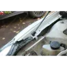 Газові упори капота і багажника Nissan Altima 4 '07-13 – Амортизатори для авто | Доставка по Україні