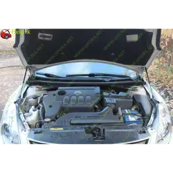 Газові упори капота і багажника Nissan Altima 4 '07-13 – Амортизатори для авто | Доставка по Україні