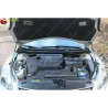 Газові упори капота і багажника Nissan Altima 4 '07-13 – Амортизатори для авто | Доставка по Україні