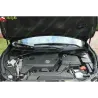 Газові упори капота і багажника Nissan Altima 5 '12-15 – Амортизатори для авто | Доставка по Україні