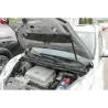 Газові упори капота і багажника Nissan Leaf '10-17 – Амортизатори для авто | Доставка по Україні