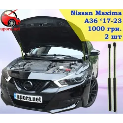 Газові упори капота і багажника Nissan Maxima A36 '15-23 – Амортизатори для авто | Доставка по Україні