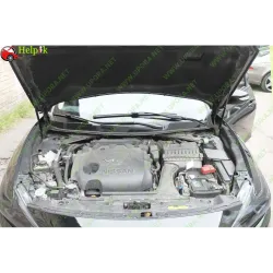 Газові упори капота і багажника Nissan Maxima A36 '15-23 – Амортизатори для авто | Доставка по Україні