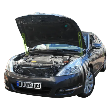Газові упори капота і багажника Nissan Teana J32 '08-14 – Амортизатори для авто | Доставка по Україні