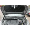 Газові упори капота і багажника Peugeot 2008 2 '19+ – Амортизатори для авто | Доставка по Україні