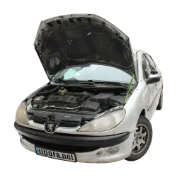 Газові упори капота і багажника Peugeot 206 '98-08 – Амортизатори для авто | Доставка по Україні