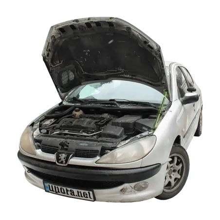 Газові упори капота і багажника Peugeot 206 '98-08 – Амортизатори для авто | Доставка по Україні