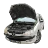 Газові упори капота і багажника Peugeot 206 '98-08 – Амортизатори для авто | Доставка по Україні