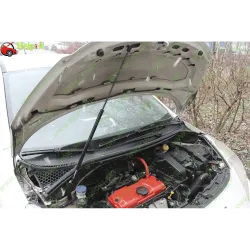 Газові упори капота і багажника Peugeot 207 '06-13 – Амортизатори для авто | Доставка по Україні