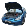 Газові упори капота і багажника Peugeot 307 '01-04 – Амортизатори для авто | Доставка по Україні
