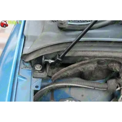 Газові упори капота і багажника Peugeot 307 '01-04 – Амортизатори для авто | Доставка по Україні
